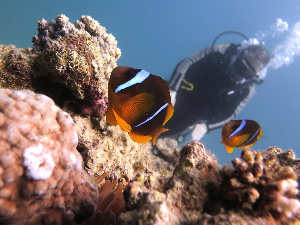 Bait Alaqaba Resort Aqaba Bagian luar foto